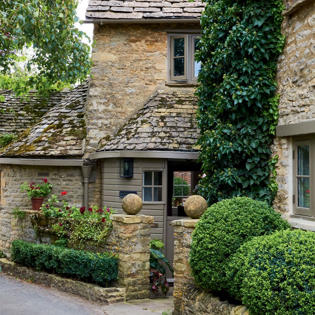 How to grow ivy and weave it into a Christmas wreath