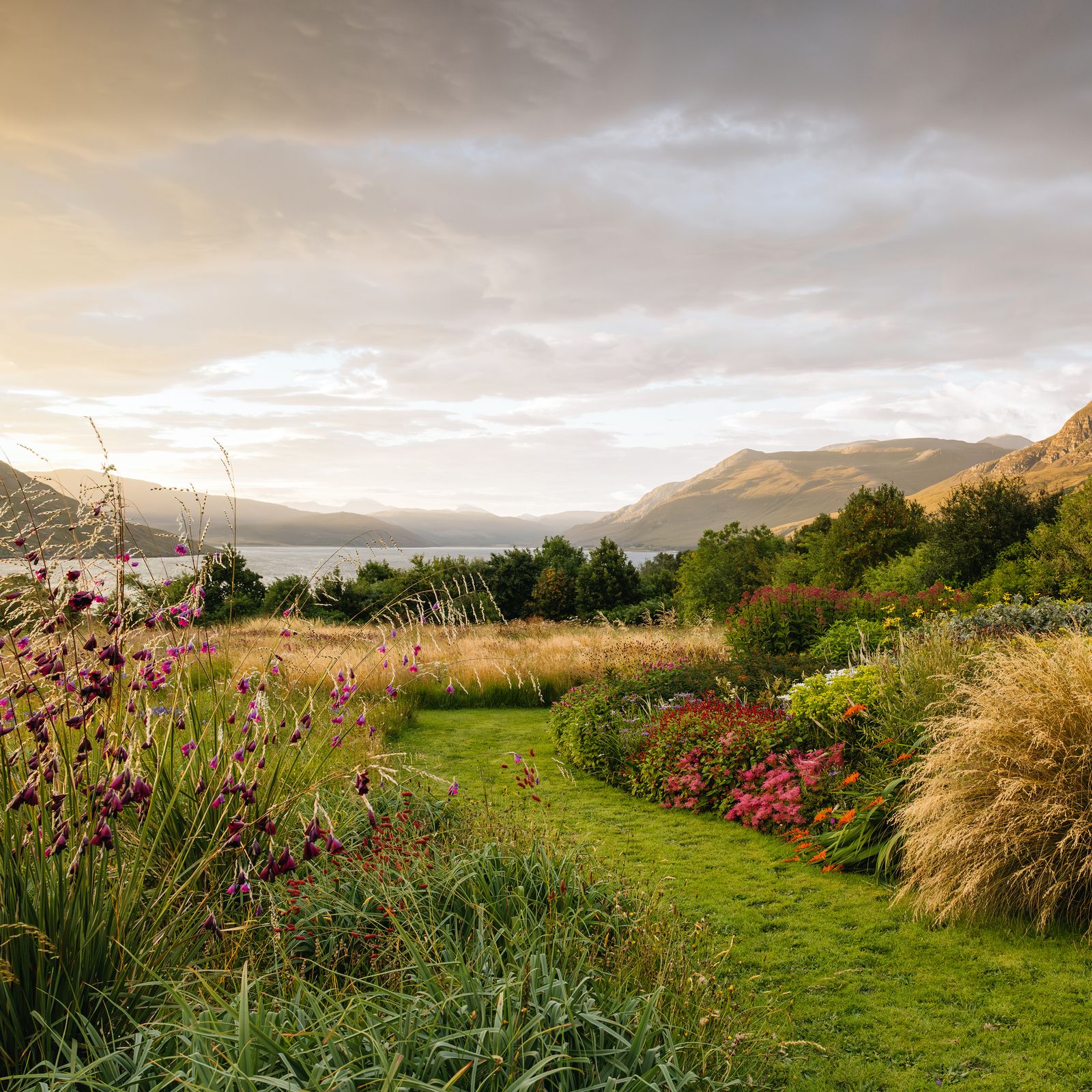 An unusual lochside garden in the Highlands, filled with vibrant South African plants