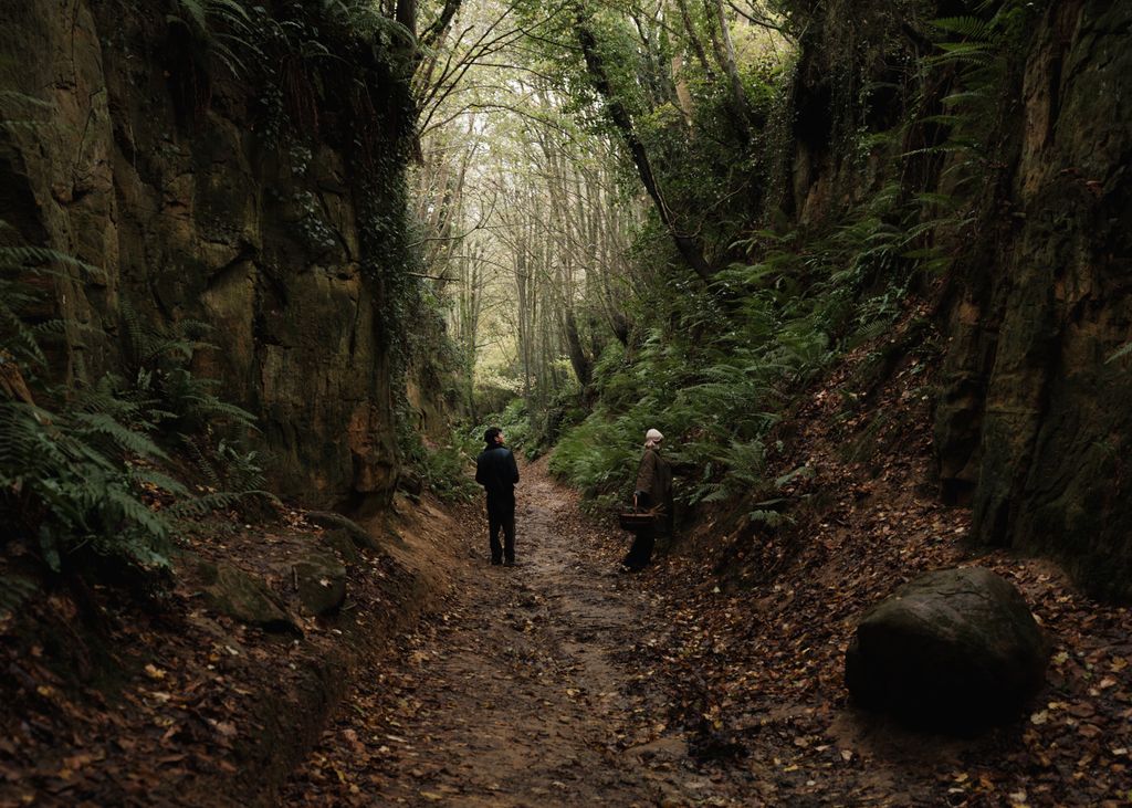 Image may contain Path Nature Outdoors Trail Person Walking Plant Vegetation Land Rainforest Tree and Woodland