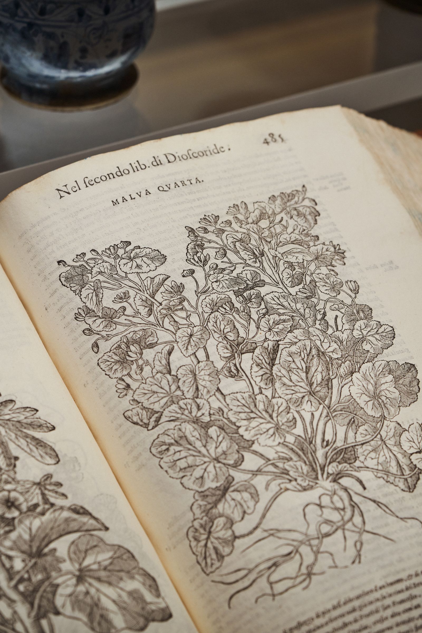 Image may contain Book Publication Page Text Art and Drawing