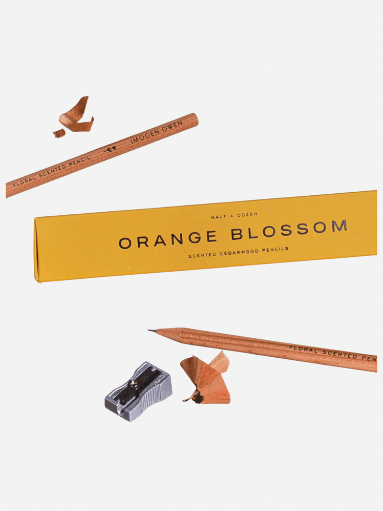 Image may contain Pencil